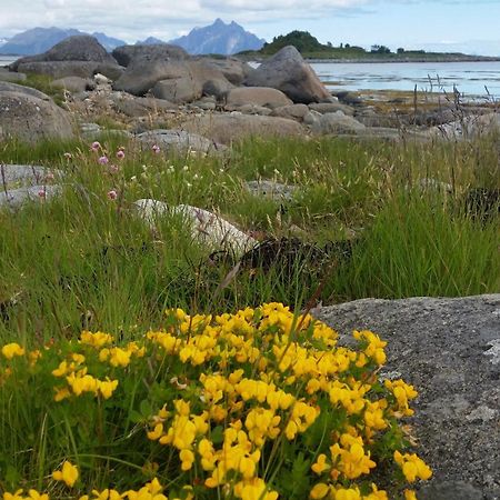Lofotbo Villa Stamsund Dış mekan fotoğraf