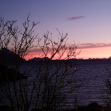 Lofotbo Villa Stamsund Dış mekan fotoğraf