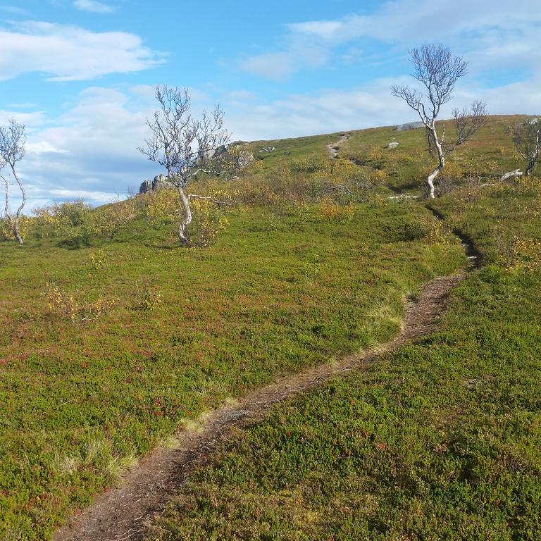 Lofotbo Villa Stamsund Dış mekan fotoğraf