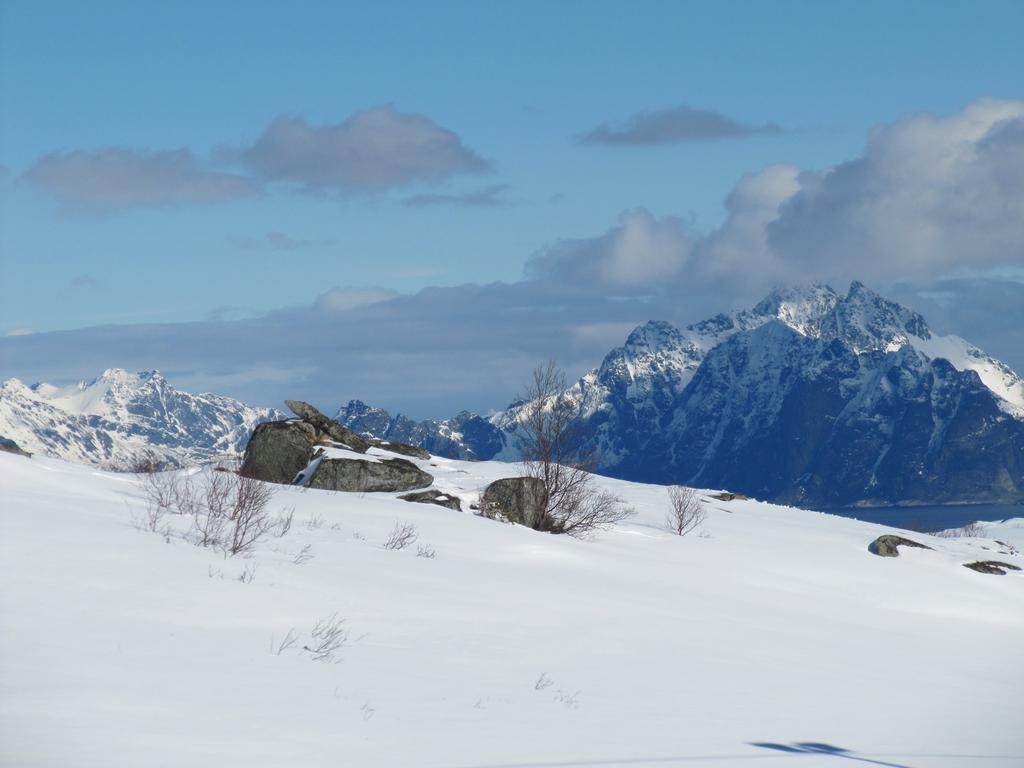 Lofotbo Villa Stamsund Dış mekan fotoğraf