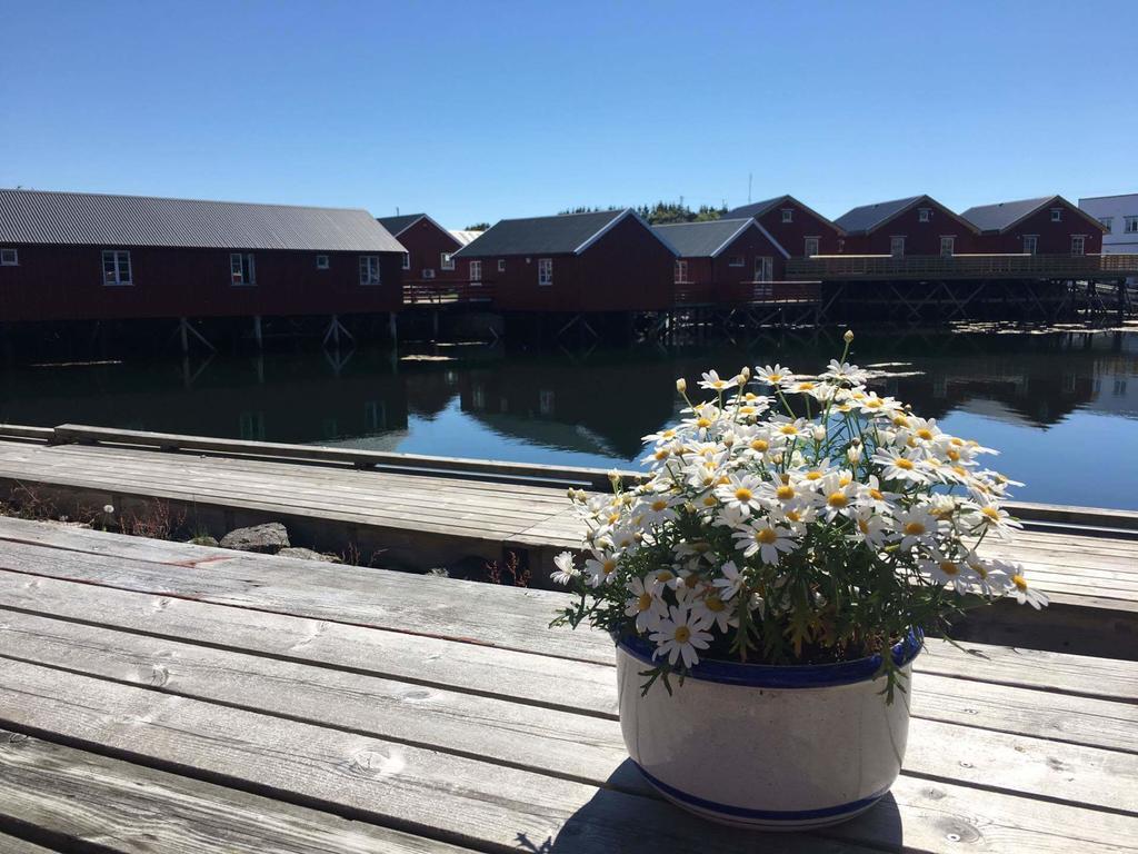 Lofotbo Villa Stamsund Dış mekan fotoğraf
