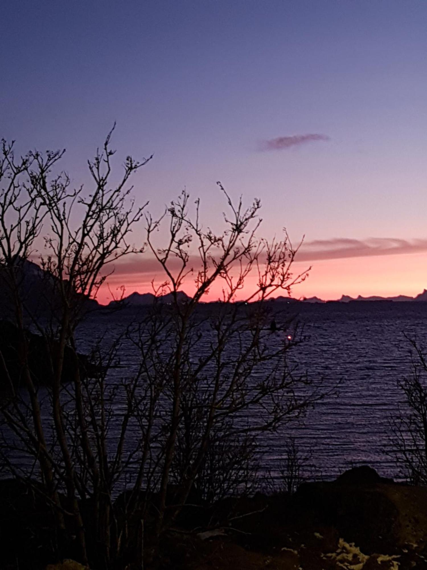 Lofotbo Villa Stamsund Dış mekan fotoğraf